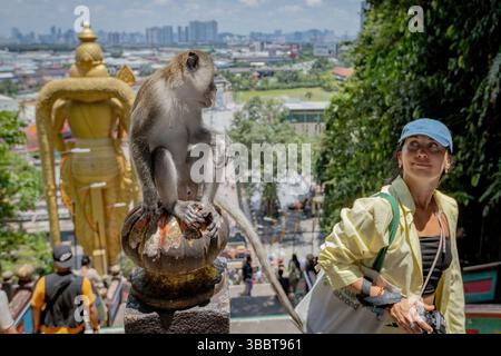Jeune femme visitant Batu Caves temple hindou regardant le singe dans les escaliers à Kuala Lumpur Malaisie Banque D'Images