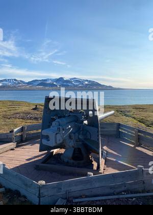 Un vieux canon militaire face à l'océan Arctique, sur fond de montagnes et d'eau à Svalbard, en Norvège. Banque D'Images