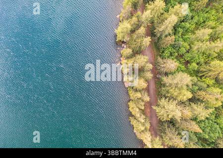 Vue aérienne calme de la rive du lac avec des pins et sentier de randonnée en montagne, fond de nature pittoresque parfait pour les voyages et l'aventure en plein air Banque D'Images
