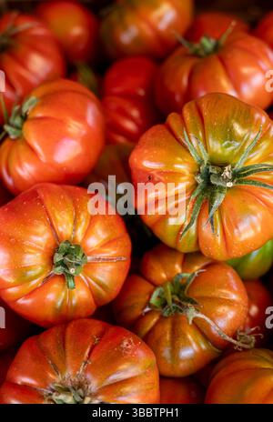 Un tas de tomates rouges sont empilées dans une caisse. Les tomates sont mûres et prêtes à être consommées Banque D'Images