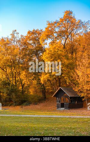 Cabane de forêt d'automne effrayante entourée d'arbres et de feuilles tombées, scène d'automne effrayante, forêt mystérieuse, nature saisonnière étrange, tranquille mais envoûtante Banque D'Images