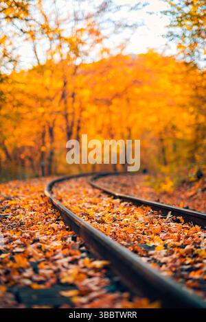 Belle perspective de lignes de chemin de fer de forêt d'automne, feuillage coloré, paysage saisonnier nature pittoresque arrière-plan abstrait artistique en plein air Banque D'Images