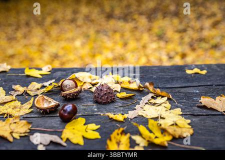 Plateau de table d'automne confortable avec des feuilles colorées et des châtaignes, fond de nature saisonnière abstraite, scène d'automne chaude, décor d'automne extérieur paisible, pittoresque Banque D'Images