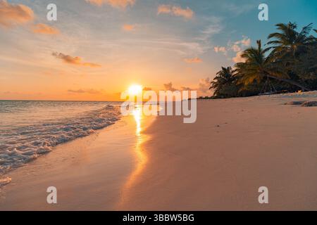 Coucher de soleil sur la plage de l'île tropicale avec des silhouettes de palmiers, vagues calmes éclaboussant le long du rivage, vue sur le paysage marin relaxant pour les voyages d'été, le tourisme Banque D'Images