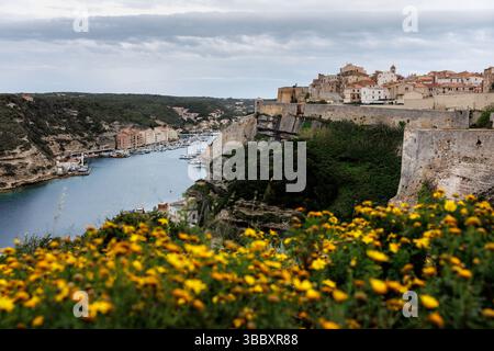 20 avril 2025, France, Bonifacio : vue de la ville de Bonifacio sur l'île de Corse (France) le 20.04.2025. Vous pouvez voir la vieille ville médiévale (ville haute (ville haute)) sur un promontoire de calcaire et de grès, qui est incliné verticalement vers la mer en grandes parties, ainsi que le port et la ville basse de Bonifacio dans la baie en forme de fjord Calanque de Fazio. Bonifacio (Corse Bunifaziu ; Ligurian Bunifazziu ou Bonifacio) est une ville portuaire située dans le sud de l'île méditerranéenne française de Corse (Corse, Corse) dans le département de Corse-du-Sud. Situé sur un plateau rocheux en forme de péninsule, l'ancien Banque D'Images