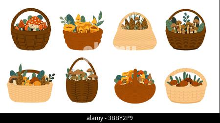 Champignons dans le panier. Champignons forestiers d'automne avec des feuilles dans un panier en osier, cueillette de champignons des bois de saison d'automne, nourriture végétarienne de champignons cueillie Illustration de Vecteur