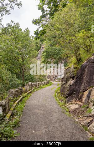 Un sentier tranquille serpente à travers un feuillage dense et des rochers accidentés, invitant les promeneurs à explorer la beauté naturelle de la Norvège Banque D'Images