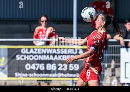 Aalter, Belgique. 17 mai 2025. Laura Miller (6) de Standard photographiée lors d'un match de football féminin entre le Club Brugge Dames YLA et Standard Femina de Liege le 6 ème jour des Champions jouer de la saison 2024 - 2025 de la Super League belge du Lotto Womens, le samedi 17 mai 2025 à Aalter, BELGIQUE . Crédit : Sportpix/Alamy Live News Banque D'Images