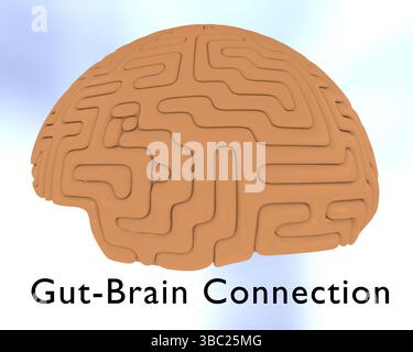 Illustration 3D d'un cerveau humain, intitulée Gut-Brain Connection. Banque D'Images