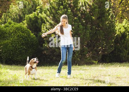 Funny Girl throwing stick pour chien beagle active dans le parc Banque D'Images