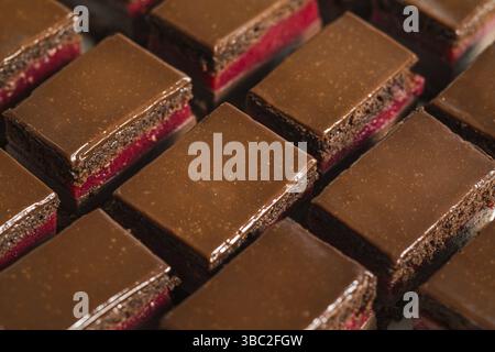 Le gros plan des gâteaux Opéra avec de la crème au chocolat. Les morceaux de dessert français disposés de suite Banque D'Images
