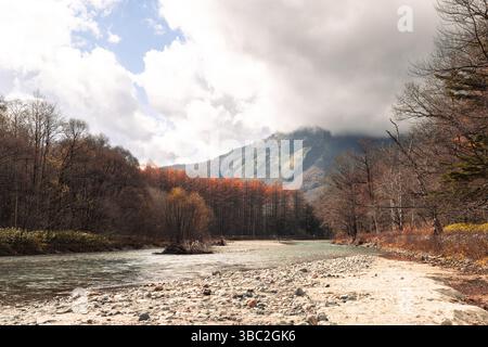 Claire eau de la rivière Azusa et pins dans le parc national de Kamikochi en saison d'automne Banque D'Images