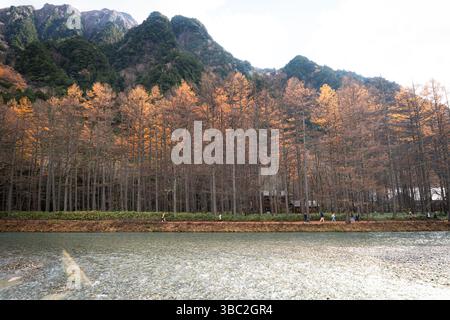 Claire eau de la rivière Azusa et pins dans le parc national de Kamikochi en saison d'automne Banque D'Images