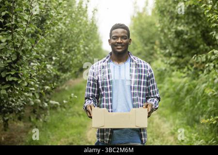 Portrait d'un homme africain souriant satisfait, jeune agriculteur, tenant une boîte en bois avec récolte de fruits.Jeune homme en chemise à carreaux dans verger de fruits parmi pl Banque D'Images