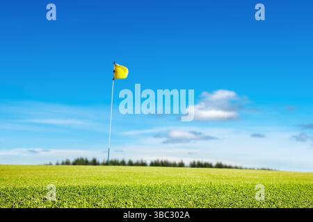 Terrain de Golf, se concentrer sur l'herbe, faible profondeur de champ Banque D'Images
