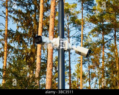Plusieurs caméras de surveillance montées sur un poteau dans une zone forestière Banque D'Images