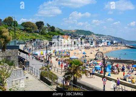 Lyme Regis, Dorset, Royaume-Uni. 18 mai 2025. Météo britannique. Les bains de soleil affluent vers la station balnéaire de Lyme Regis pour se prélasser sous le soleil brûlant. Crédit : Celia McMahon/Alamy Live News Banque D'Images