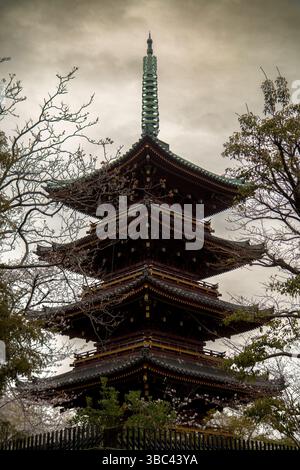 Pagode japonaise traditionnelle avec toit en tuiles vertes et arbres environnants sous un ciel nuageux spectaculaire. Prise de vue verticale Banque D'Images