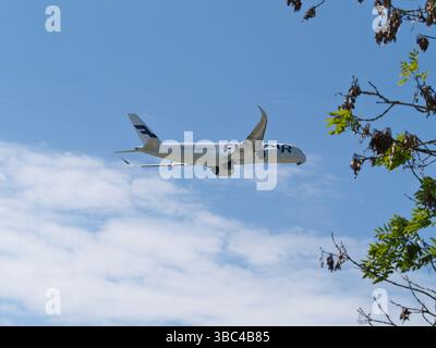 Finnair A350 survolant un arbre : avion dans un ciel bleu avec cadre naturel Banque D'Images