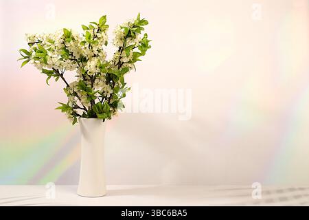 Belles branches de pommier en floraison printanière dans un vase sur fond élégant. Arrangement floral abstrait et bannière pour écran, nature morte, floral h Banque D'Images