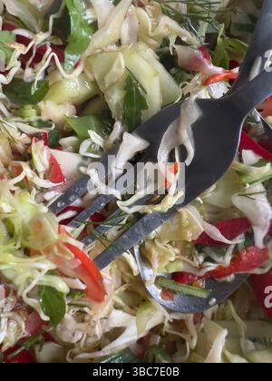 Salade de légumes frais, chou vert râpé, poivron rouge, tomate, concombre, et des oignons verts. Coloré, sain Banque D'Images