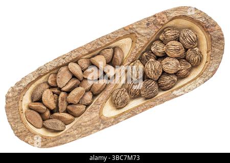 Noix noires et noix brésiliennes dans un plateau fendu en bois de mangue avec bords d'écorce, isolé sur blanc, vue de dessus Banque D'Images