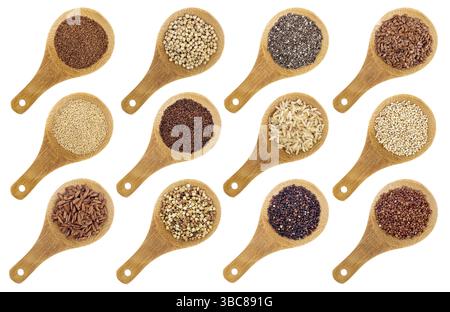 Une variété de grains et graines sans gluten (sarrasin, amarante, riz brun, millet, sorgho, teff, quinoa noir, blanc et noir, chia et graines de lin) Banque D'Images