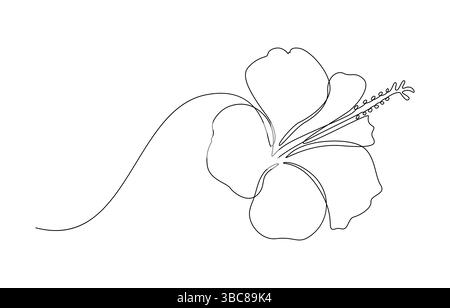 Dessin unifilaire de fleur d'hibiscus, Illustration de Vecteur
