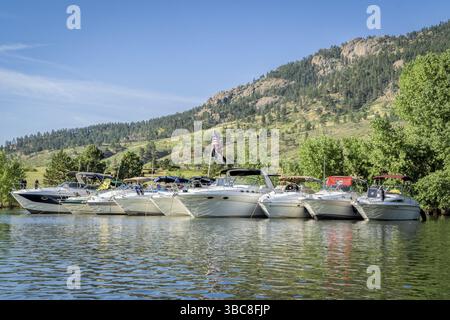 Fort Collins, CO, États-Unis - 4 août 2019 : une rangée de bateaux à moteur ancrée sur le réservoir Horsetooth pendant un week-end d'été Banque D'Images