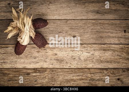 Fond de bois de grange rustique avec des oreilles de maïs décoratif à la fraise et un espace de copie, image tonifiée sépia Banque D'Images