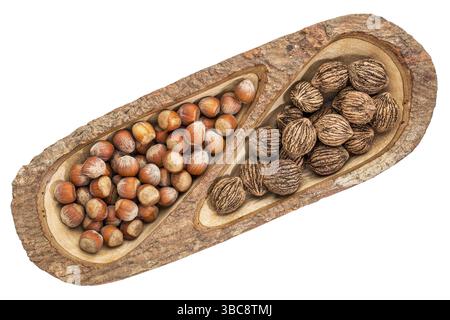 Noix noires et noisettes dans un plateau fendu en bois de manguier avec bords d'écorce, isolé sur blanc, vue de dessus Banque D'Images