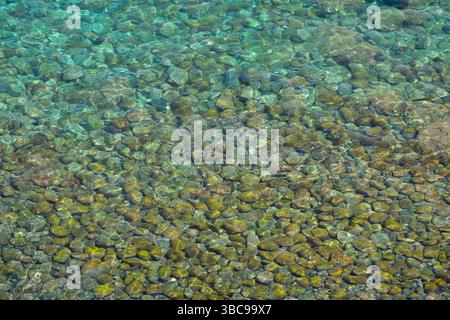 Cailloux de mer dans une eau transparente claire peu profonde. Papier peint idéal ou image de fond principalement en couleur turquoise. Banque D'Images