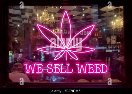 Bangkok, Thaïlande - 15 octobre 2024 : panneau lumineux rose au néon cannabis indiquant : nous vendons de l'herbe. Banque D'Images