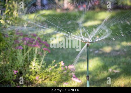 Arroseurs d'eau fonctionnant dans un jardin avec une variété de fleurs Banque D'Images