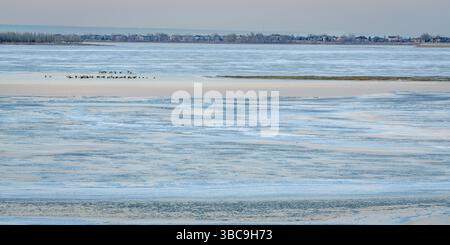 Crépuscule sur l'hiver gelé Boyd Lake dans le nord du Colorado Banque D'Images