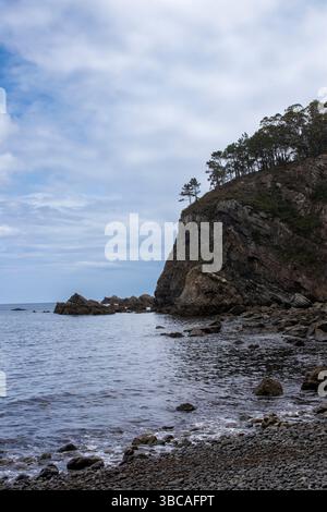 Paysage marin serein mettant en valeur une côte rocheuse, une falaise majestueuse surmontée d'arbres, et la vaste étendue de l'océan sous un ciel nuageux Banque D'Images