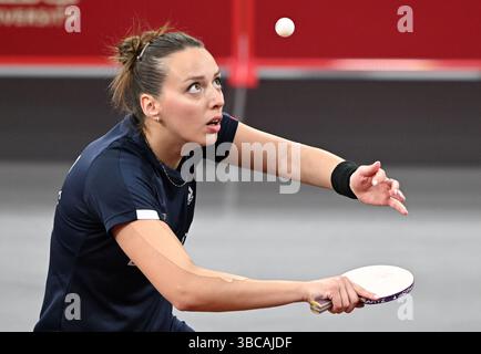 Doha, Qatar. 19 mai 2025. Andrea Todorovic participe à la ronde féminine de 64 entre Shi Xunyao, de Chine, et Andrea Todorovic, de Serbie, à la finale des Championnats du monde de tennis de table de l'ITTF Doha 2025 à Doha, Qatar, le 19 mai 2025. Crédit : HE Changshan/Xinhua/Alamy Live News Banque D'Images