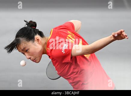 Doha, Qatar. 19 mai 2025. Shi Xunyao sert lors de la ronde de simple féminine de 64 entre Shi Xunyao, de Chine, et Andrea Todorovic, de Serbie, à la finale des Championnats du monde de tennis de table de l'ITTF Doha 2025 à Doha, Qatar, le 19 mai 2025. Crédit : HE Changshan/Xinhua/Alamy Live News Banque D'Images
