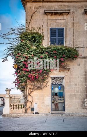 Vue d'une gelateria sur Bastion Square à Mdina, Malte. Croquis urbains. Banque D'Images