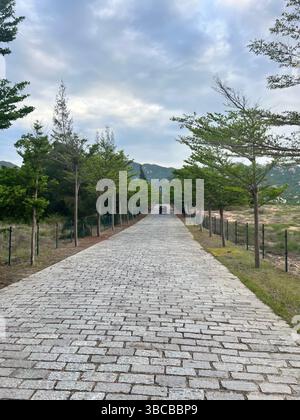 Un paisible chemin pavé serpente entre des rangées d'arbres vers les dunes de sable lointaines du Vietnam, probablement près de la région de Bau Trang Banque D'Images