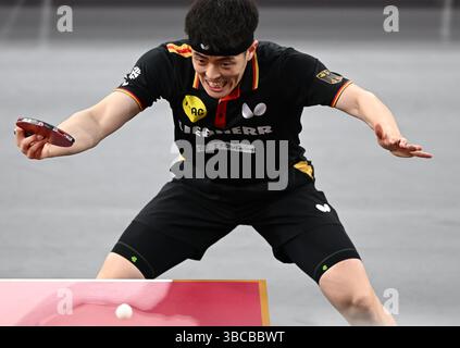 Doha, Qatar. 19 mai 2025. L'Allemand Qiu Dang revient chez l'Anglais Tom Jarvis lors de la ronde masculine en simple de 64 à la finale des Championnats du monde de tennis de table ITTF Doha 2025 à Doha, Qatar, le 19 mai 2025. Crédit : HE Changshan/Xinhua/Alamy Live News Banque D'Images