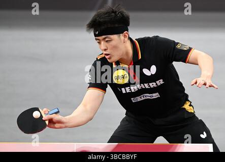 Doha, Qatar. 19 mai 2025. L'Allemand Qiu Dang revient chez l'Anglais Tom Jarvis lors de la ronde masculine en simple de 64 à la finale des Championnats du monde de tennis de table ITTF Doha 2025 à Doha, Qatar, le 19 mai 2025. Crédit : HE Changshan/Xinhua/Alamy Live News Banque D'Images