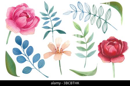 Ensemble de fleurs, feuilles, pivoines, rose. Illustration d'aquarelle florale pour invitations de mariage, cartes de voeux, conception d'impression. Ensemble printemps et été Banque D'Images