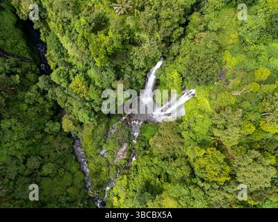 Vue aérienne de Sekumpul et Cascade cachée à Buleleng Bali Banque D'Images