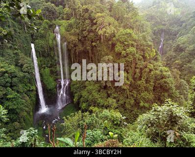 Vue aérienne de Sekumpul et Cascade cachée à Buleleng Bali Banque D'Images