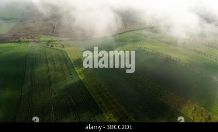 Rolling Green Farmlands au printemps - vue aérienne de la campagne Banque D'Images