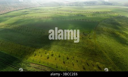 Rolling Green Farmlands au printemps - vue aérienne de la campagne Banque D'Images