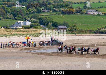 Course de harnais sur Harbour View Beach, West Cork, Irlande. Banque D'Images