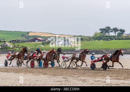 Course de harnais sur Harbour View Beach, West Cork, Irlande. Banque D'Images