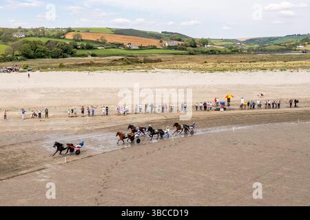 Course de harnais sur Harbour View Beach, West Cork, Irlande. Banque D'Images